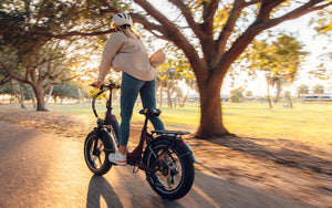 Heybike Ranger S Ebike