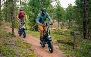 Heybike Tyson Off-Road Fat Tire Ebike