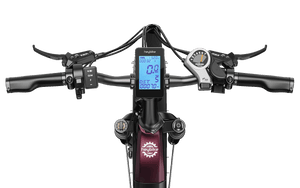 Heybike Ranger S Ebike