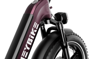 Heybike Ranger S Ebike