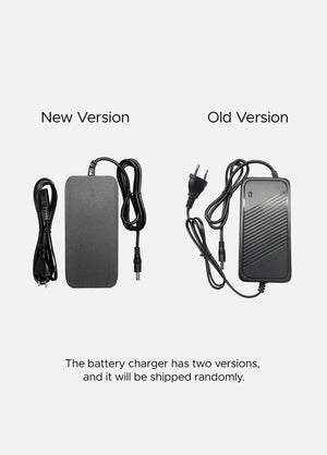 ENGWE Battery Charger