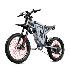 Freego X2 Pro 19” Electric Dirt Bike